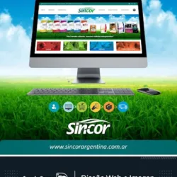 SERGIO CASAS - Diseño Web