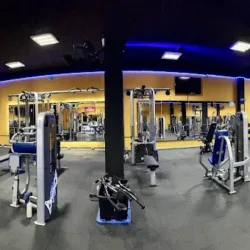 Arnold Fitness Apizaco
