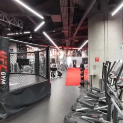 UFC GYM INSURGENTES