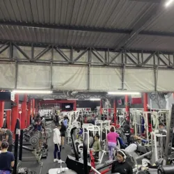 Gym Iron Beast