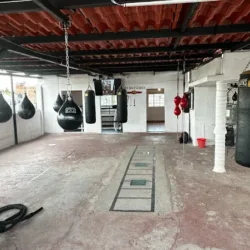 Warriors boxing club