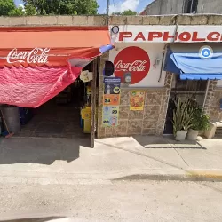 papeleria papholchac