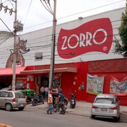 Zorro Abarrotero Nezahualcóyotl