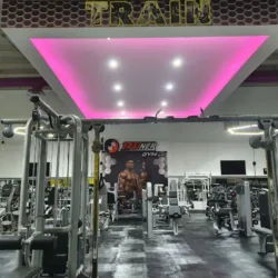 Trainer Gym Elite