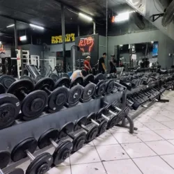 Militas Gym