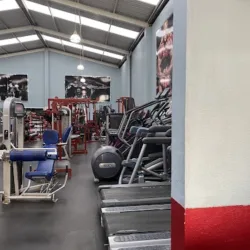 IRON MUSCLE GYM