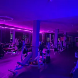 Conquer gym