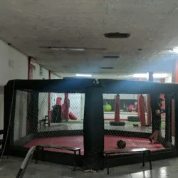 Krav Maga culiacan