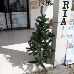 Papelería y Mercería Blondys