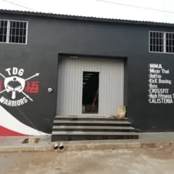 Tierra De Guerreros