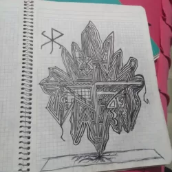 Merceria mi carcacha