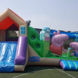 Inflables y Juegos Mecánicos Diversiones Sandylandia