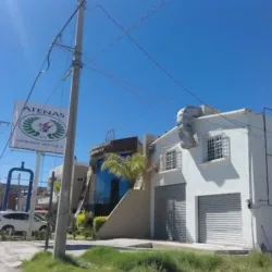 Atenas Gimnasia Artística