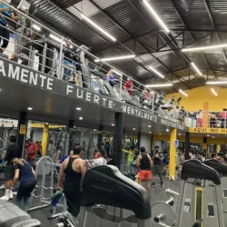 Fox Gym Irapuato