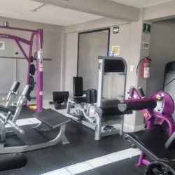 Celd Factory Gym