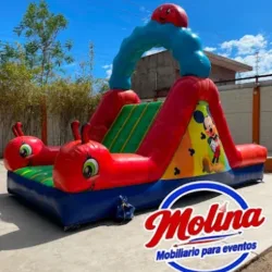 Molina renta de mobiliario y coolers para eventos