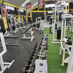 GyMan entrenamiento pro