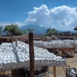 La casa de la alcancía taller