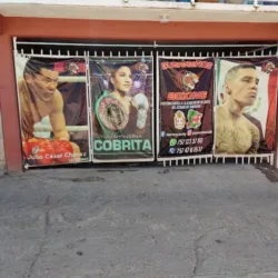 Escuela de boxeo olímpico "GUERREROS BOXING"