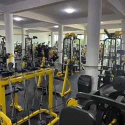 TM GYM Transformación Muscular