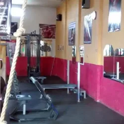 GYM Rino