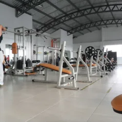 Gimnasio New Life