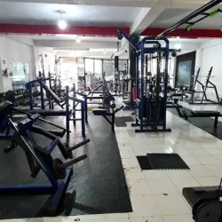 Fénix Gym