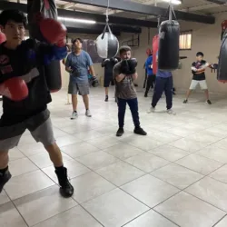 Popeyes & Castillo’s Boxing