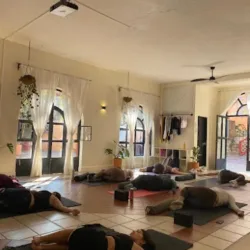Estudio OMMA