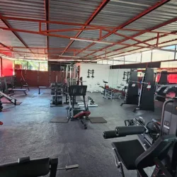 Fox Gym