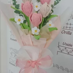 Entrelazadas estambres y tejidos