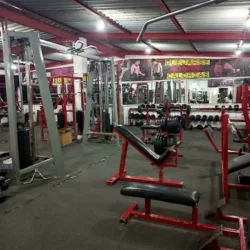 Elite Gym