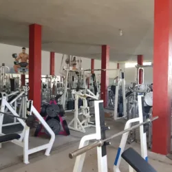 santuary gym
