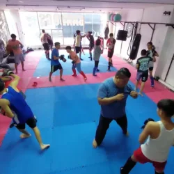 Bandogs Fight Club MMA