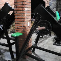 GYM Monters