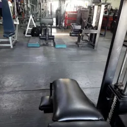 Shark Gym