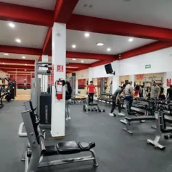 Work fit GymSoffi