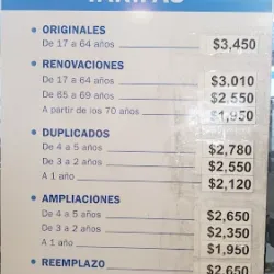Licencia De Conducir (Permiso)