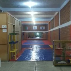 Escuela Tae Kwon Do Copat Apaseo el Alto, Gto.