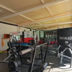 Sport Trainer