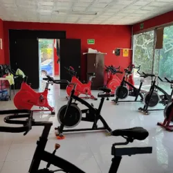 Master Gym