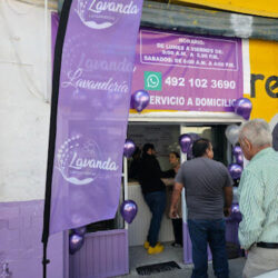 Lavanda LavanderÍas ® 02