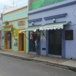 Lavandería Oashxaca