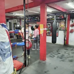 Boxeo Ujed