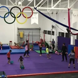 Flip 'N' Fly