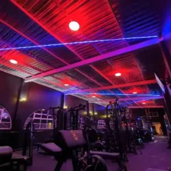 Exercixe Fitness