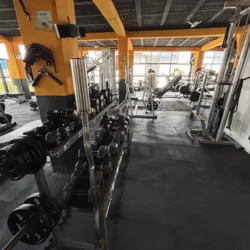 Grego Gym