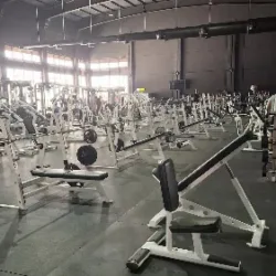 Capital Strength Gym - suc. Apodaca