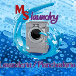 MS Laundry