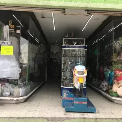 La purisima merceria